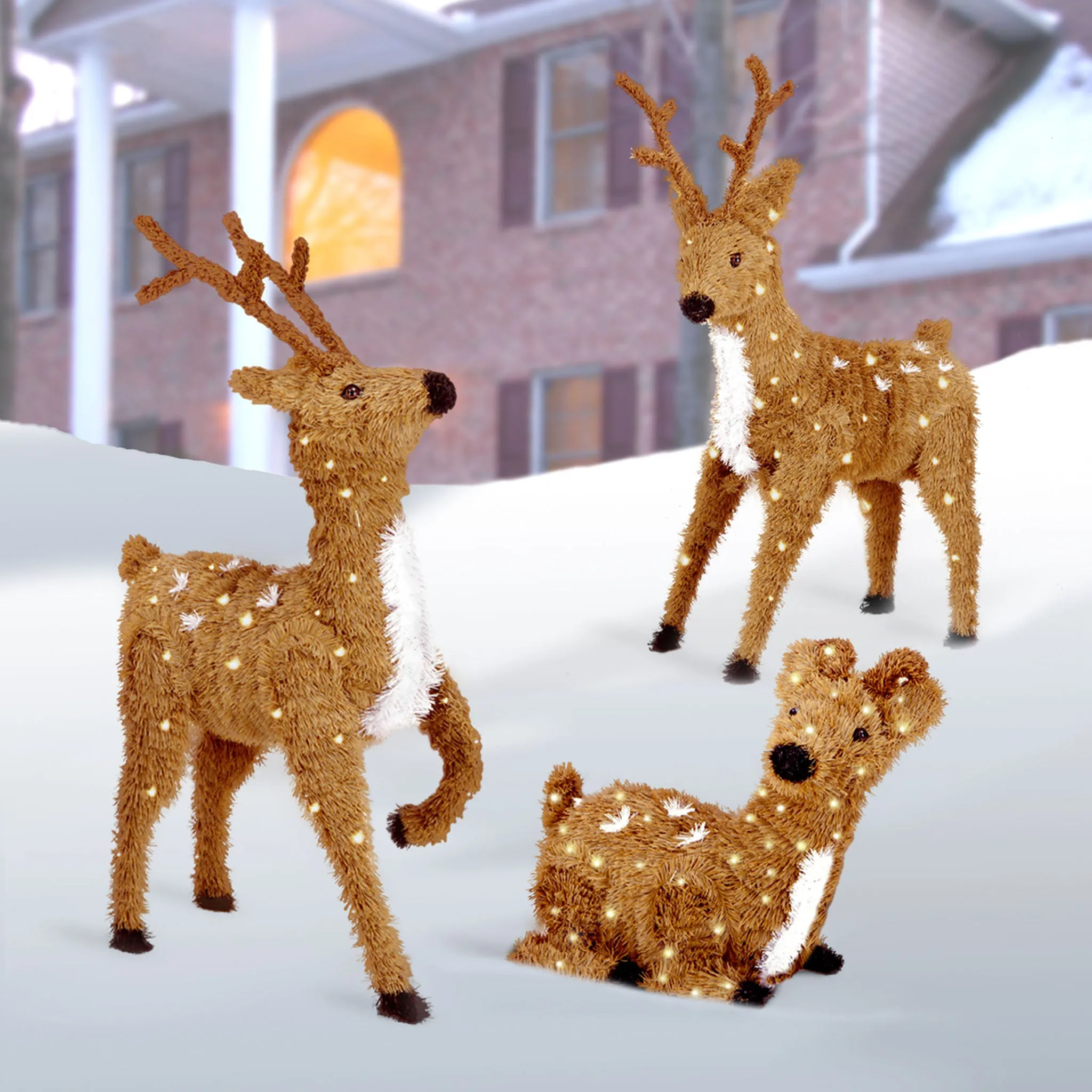24 in. Resting Reindeer with Clear Lights