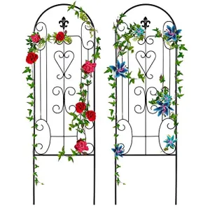 Amagabeli 2 Pack Garden Trellis for Climbing Plants 60"x18" Black Metal Plant Trelli Model No. ET110