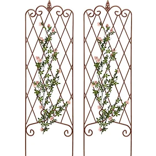 Amagabeli Garden Trellis 47” x 16” Rustproof Iron Plant Trellis Vegetables Patio Brown 2 Pack ET335