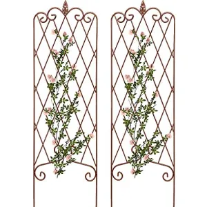 Amagabeli Garden Trellis 47” x 16” Rustproof Iron Plant Trellis Vegetables Patio Brown 2 Pack ET335