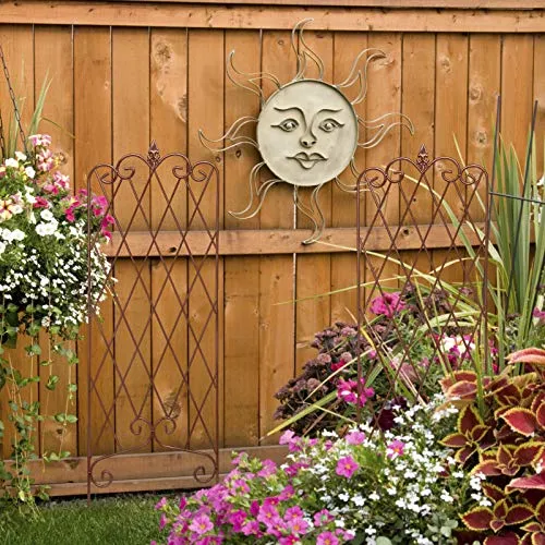 Amagabeli Garden Trellis 47” x 16” Rustproof Iron Plant Trellis Vegetables Patio Brown 2 Pack ET335