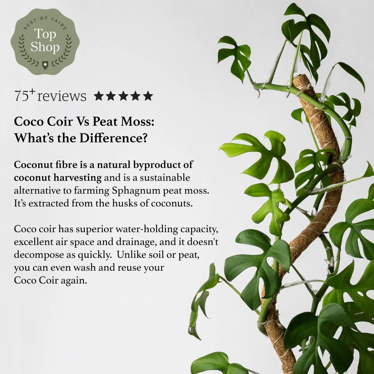 Bendable & Stackable Coco Coir Pole: Support for Climbing Plants