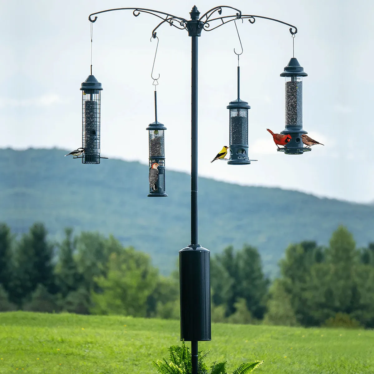 Brome Raccoon Buster® Guardian Pole System