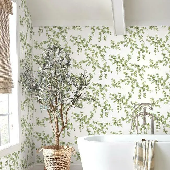 Creeping Fig Vine Wallpaper