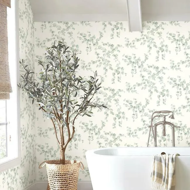 Creeping Fig Vine Wallpaper
