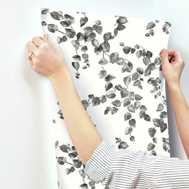 Creeping Fig Vine Wallpaper