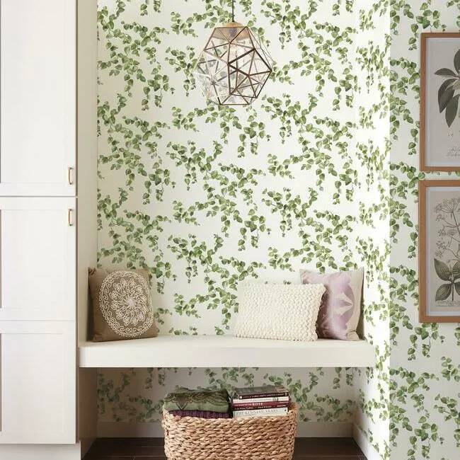 Creeping Fig Vine Wallpaper