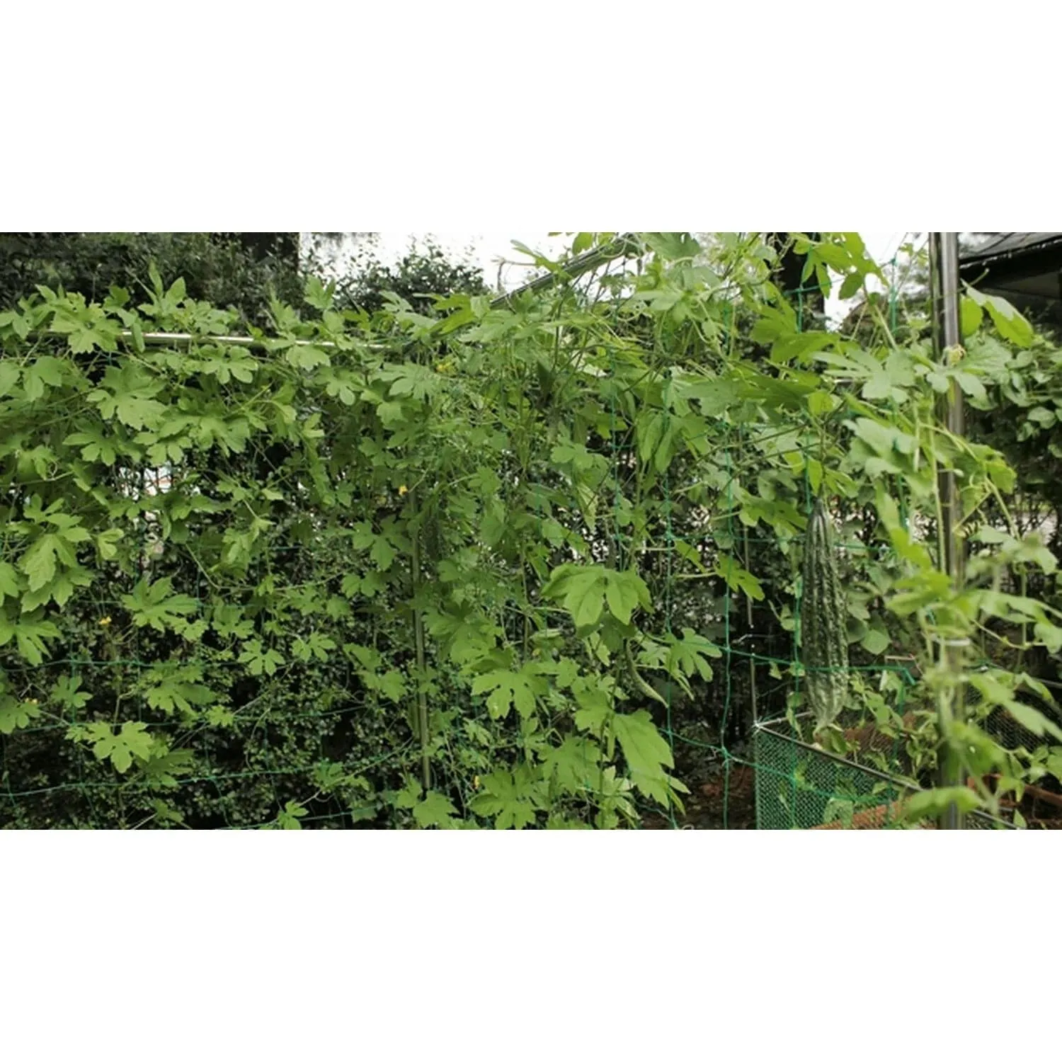 Frame It All | Stack & Extend Veggie Wall