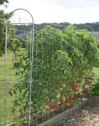 Garden Trellis Panel Kit