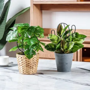 Matte Black Metal Wire Trellis in Cactus Shape Silhouette for Stem Support in Potted Plants and Planter Boxes