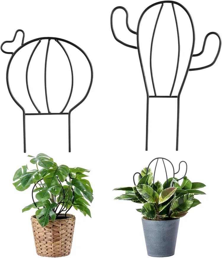 Matte Black Metal Wire Trellis in Cactus Shape Silhouette for Stem Support in Potted Plants and Planter Boxes