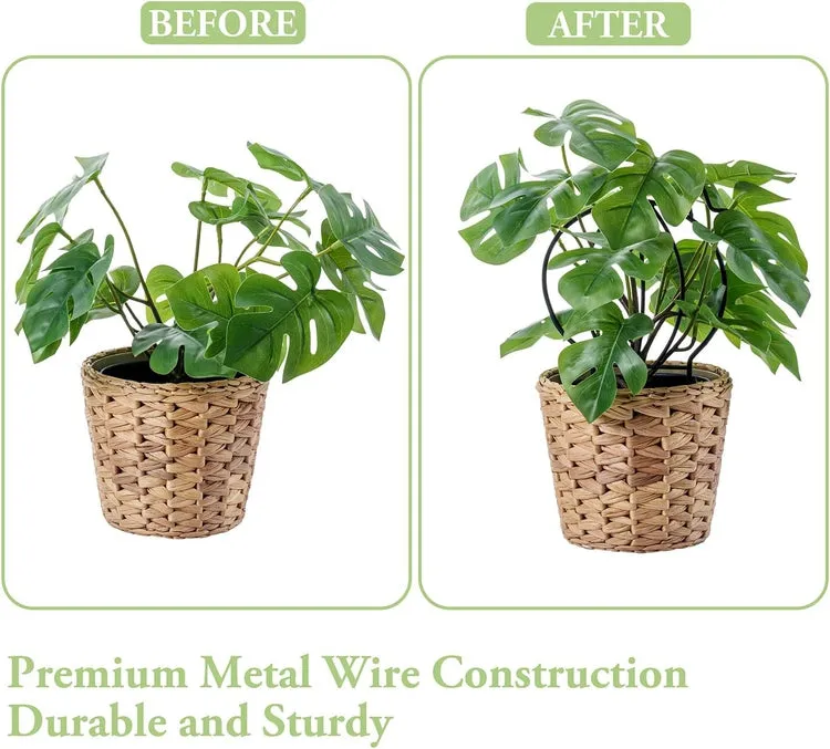 Matte Black Metal Wire Trellis in Cactus Shape Silhouette for Stem Support in Potted Plants and Planter Boxes