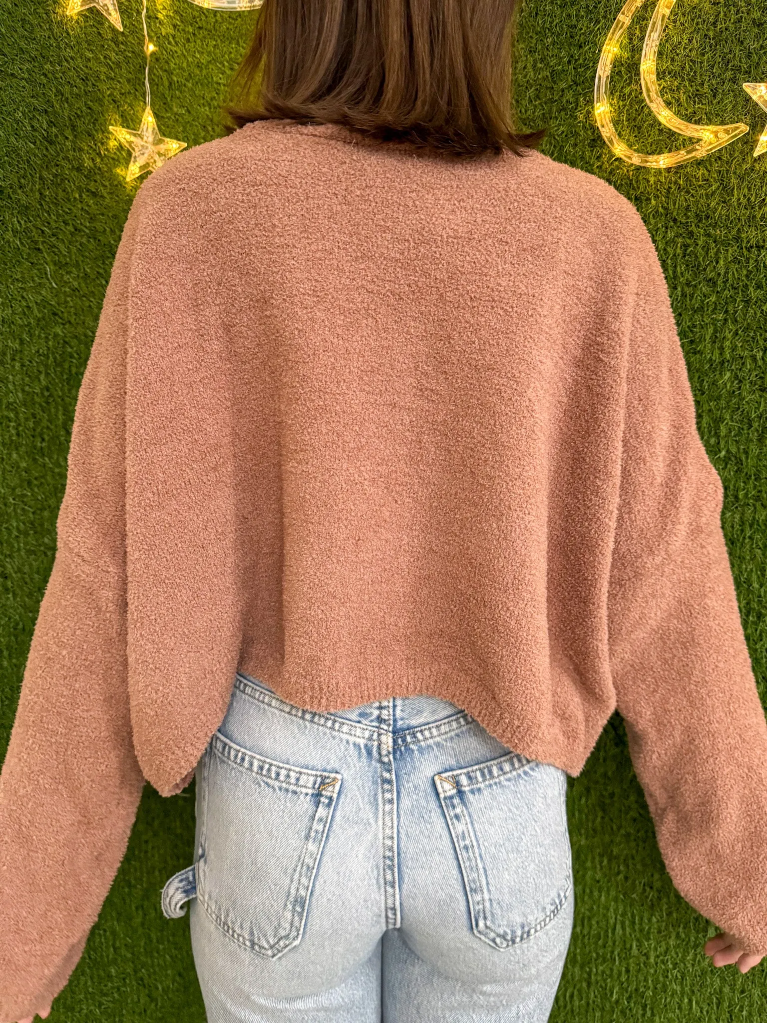 Plant Cat Brown Cropped Sweater L