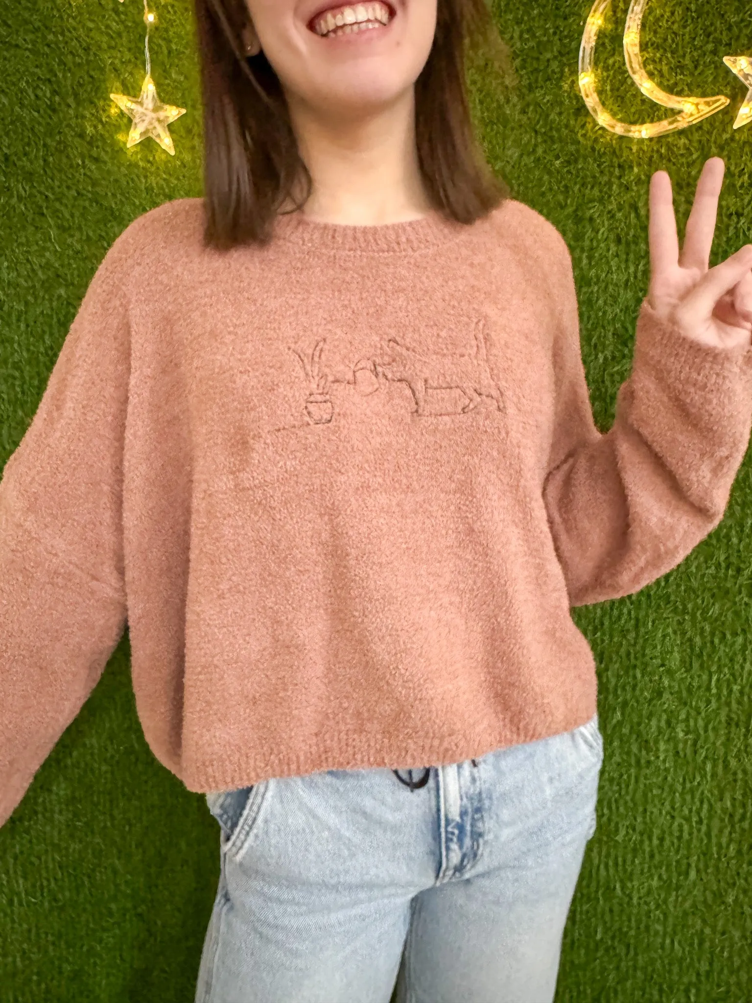 Plant Cat Brown Cropped Sweater L