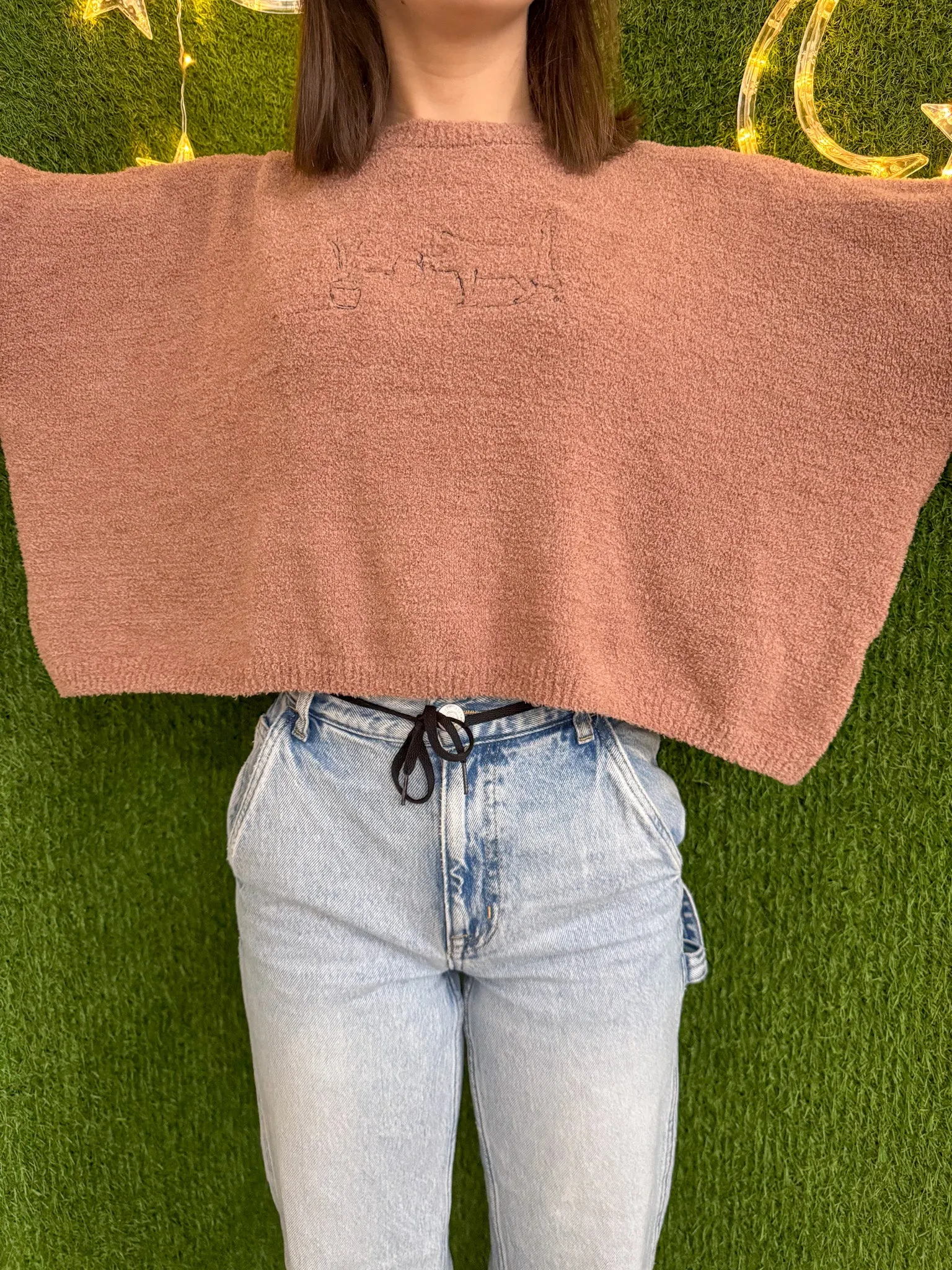 Plant Cat Brown Cropped Sweater L