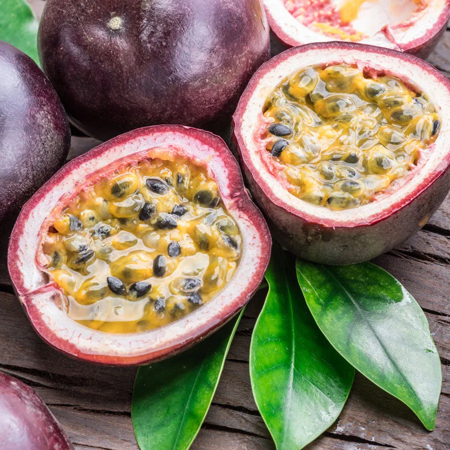 Possum Purple Passion Fruit