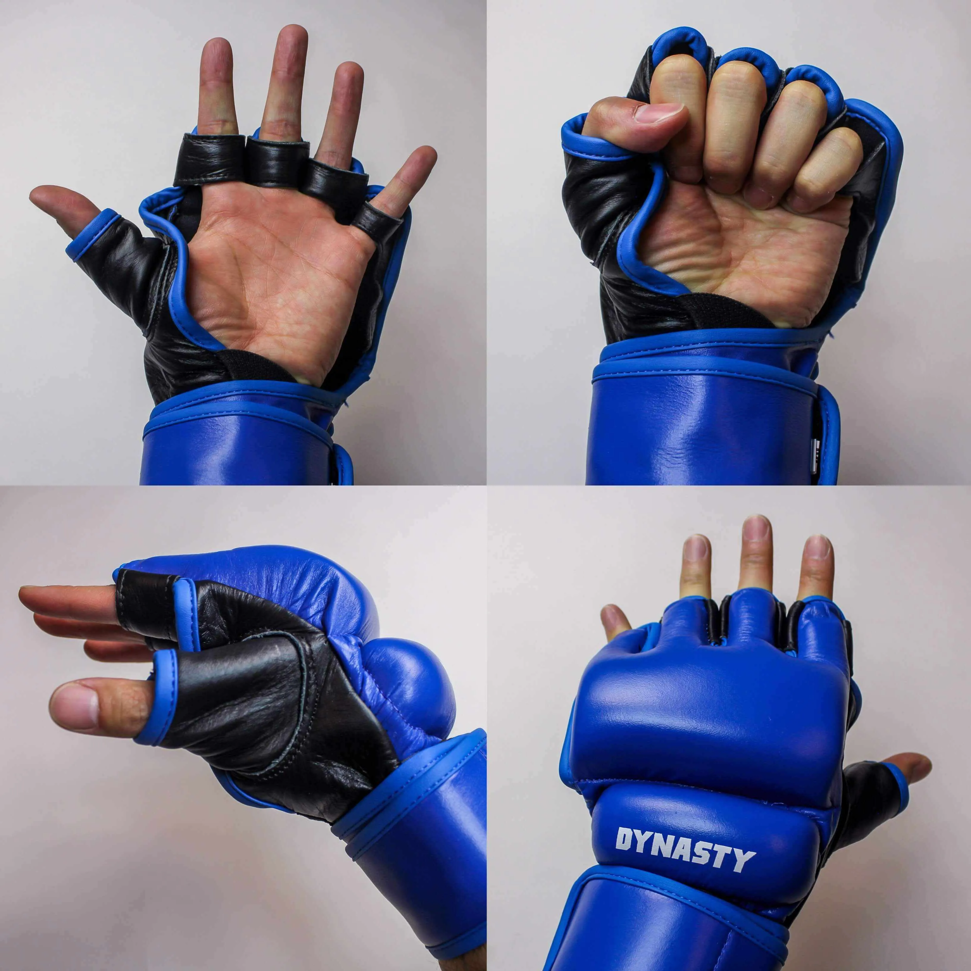 Renaissance (PRIDE) 2.0 MMA Gloves