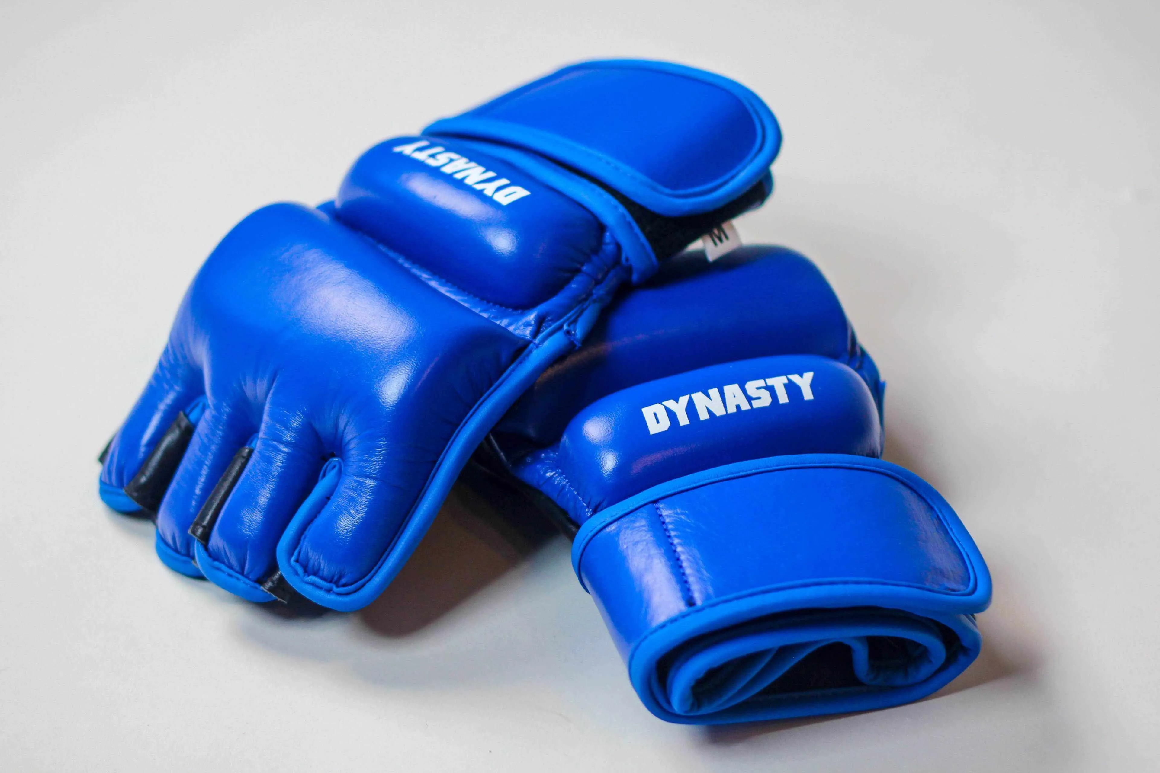 Renaissance (PRIDE) 2.0 MMA Gloves