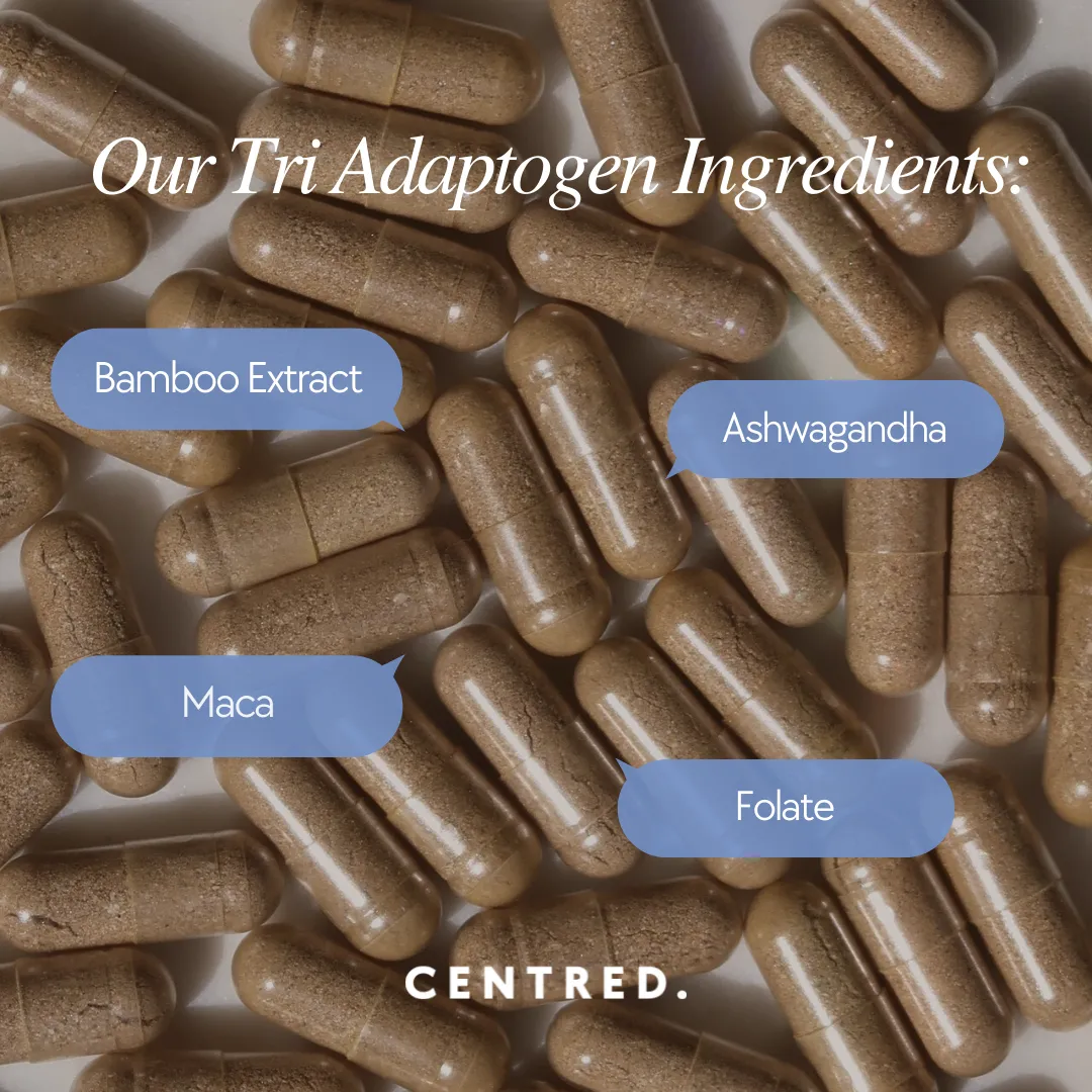 Tender Love and Hair™ | Menopause Hair Vitamins