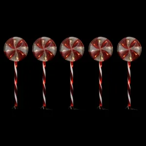 Timer Led Lollipop Path Lights | Pack of 5